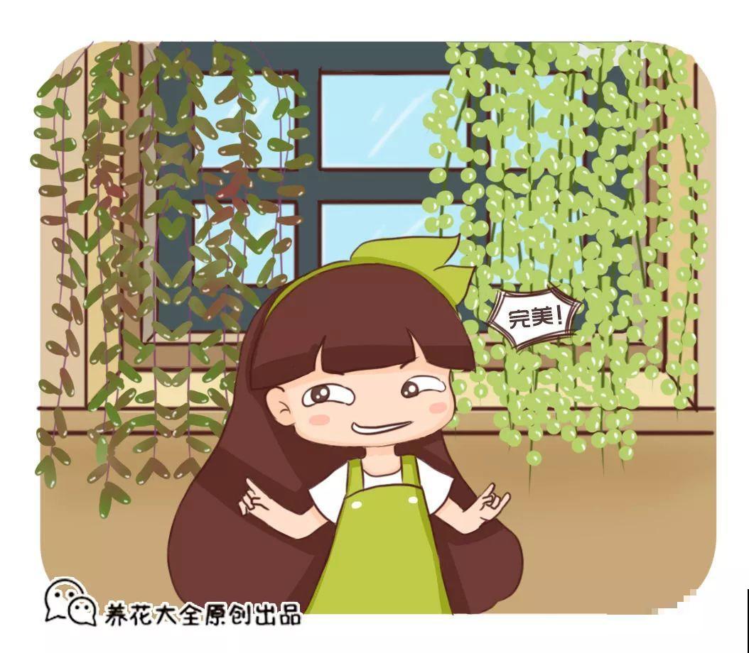 晾衣杆上挂满花，老妈整天气呼呼，一个月后乐开花！