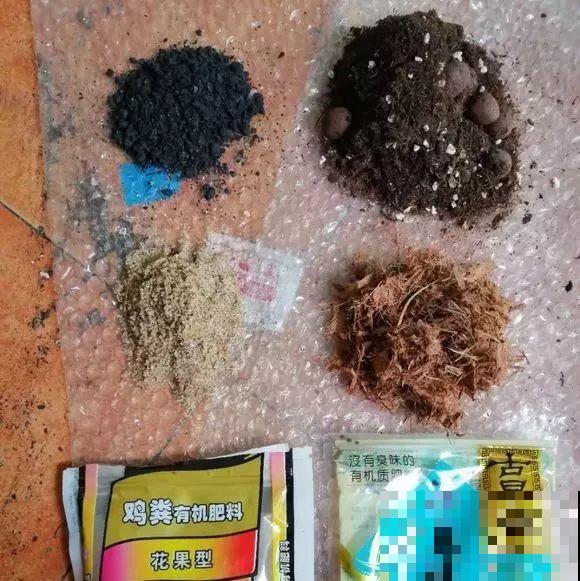 养花别用这种盆，养啥死啥，1棵都不剩！