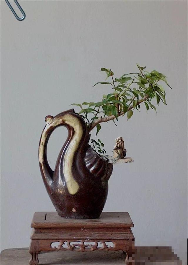 大爷不抽烟不喝酒，就爱捡酒瓶种花，养养就成传家宝