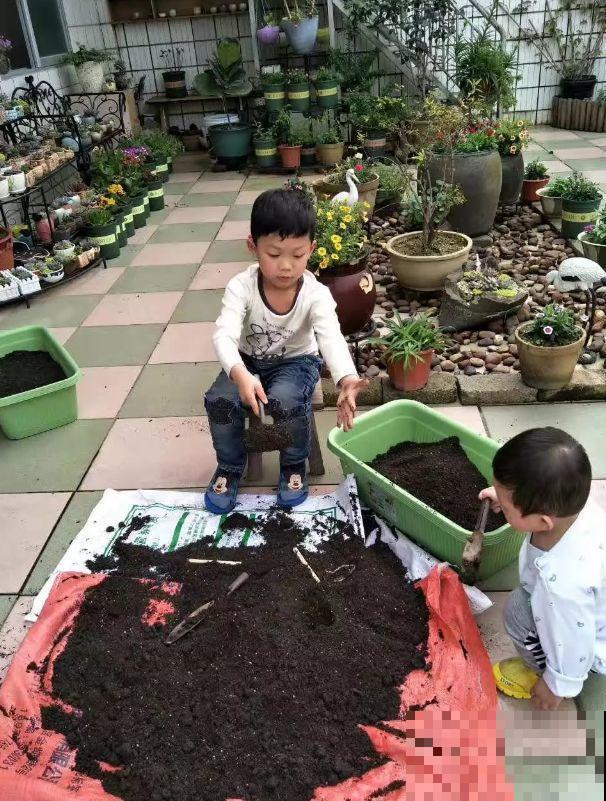 二胎妈妈建花园，一边带娃一边养花，全家人都支持！