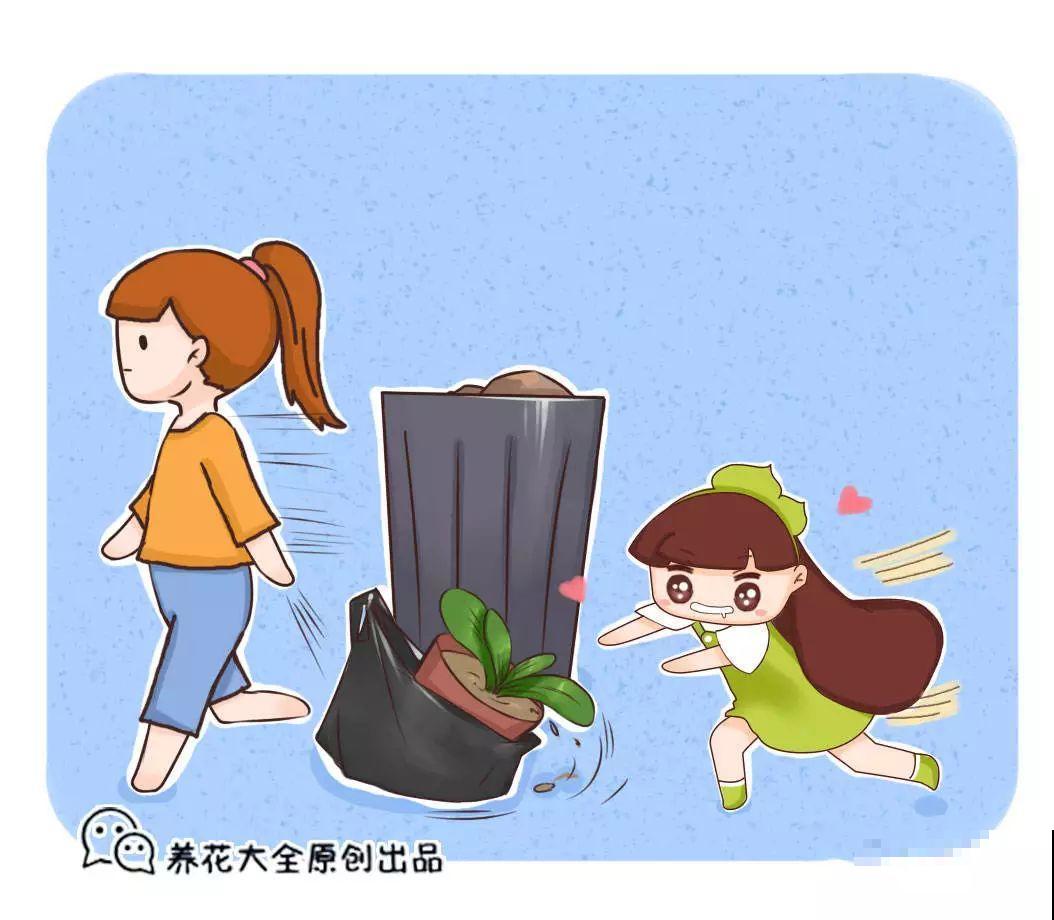 路边的花堆成山，统统不要钱，碰见了不捡白不捡！