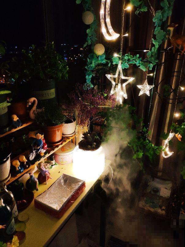 这2种花，特耐旱，一冬天不浇水也能活