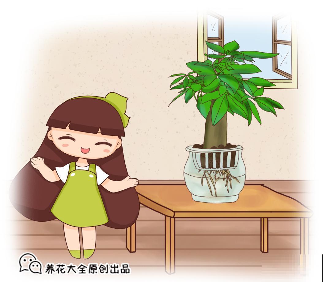 冬天养花，注意这3点，根壮叶肥，花开爆盆