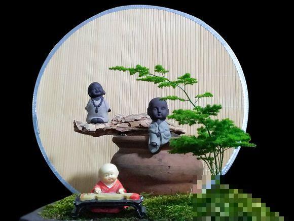 人养花，花也养人，越养你的气质就越好！