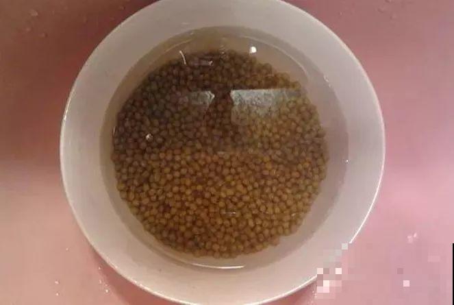 15块的黄金菜，自己在家就能种，成本只要1块钱！