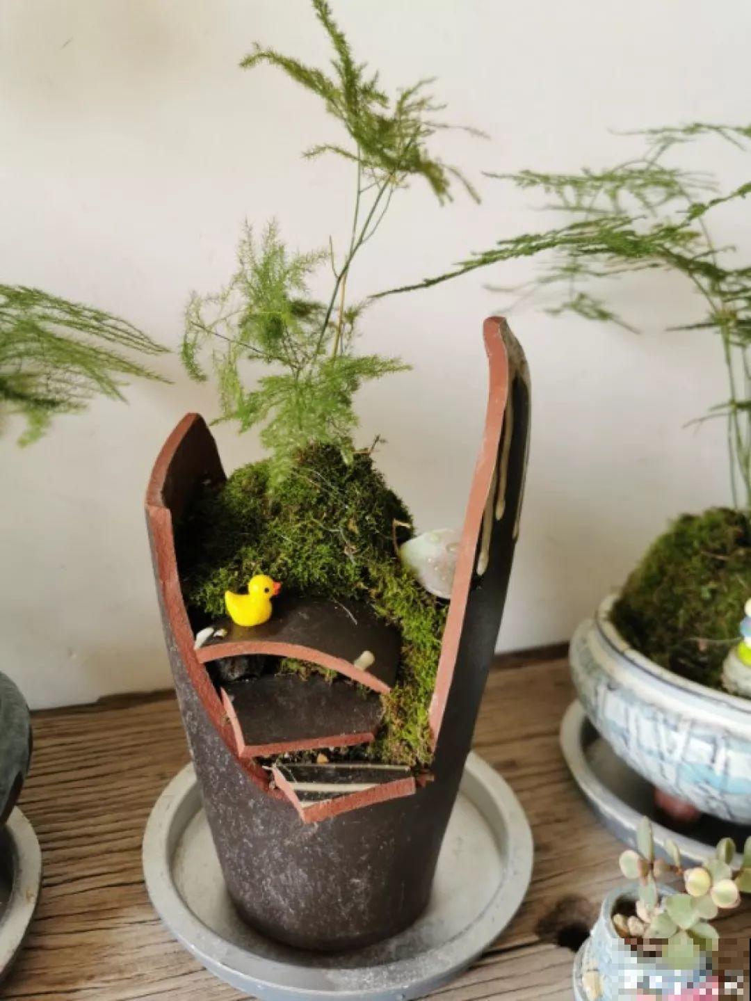 阳台再小也不怕，跟她学一招，把花挂起来养，不占地还好看！
