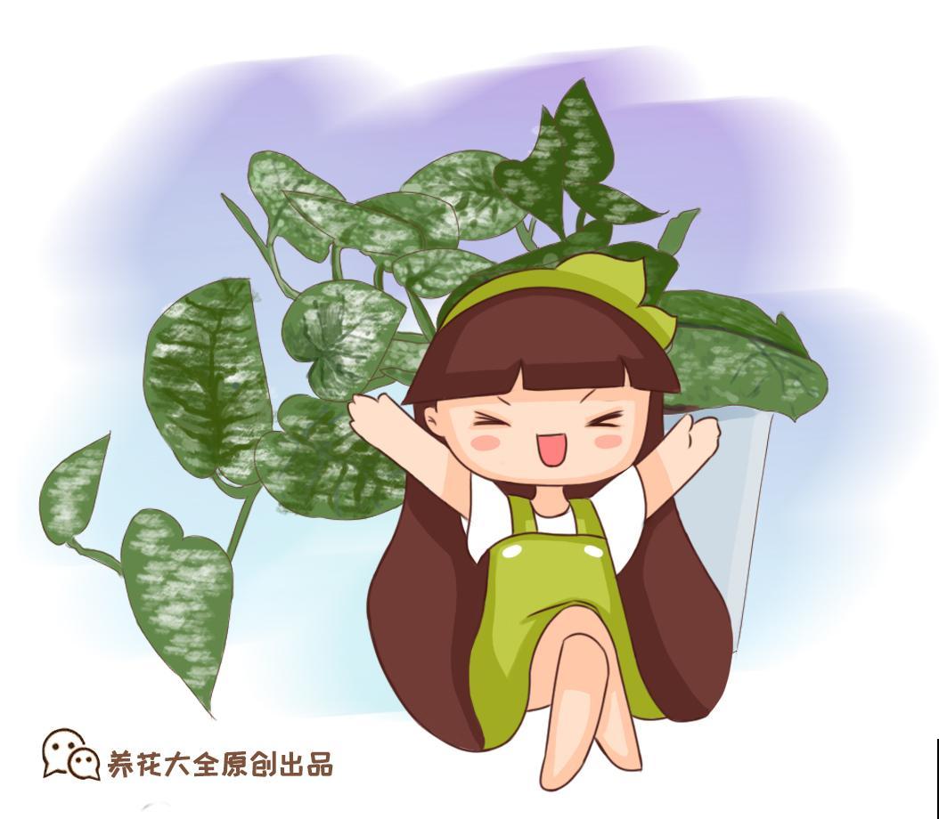 北阳台被她种出一片花海，邻居羡慕得天天来看，网友：养功真牛