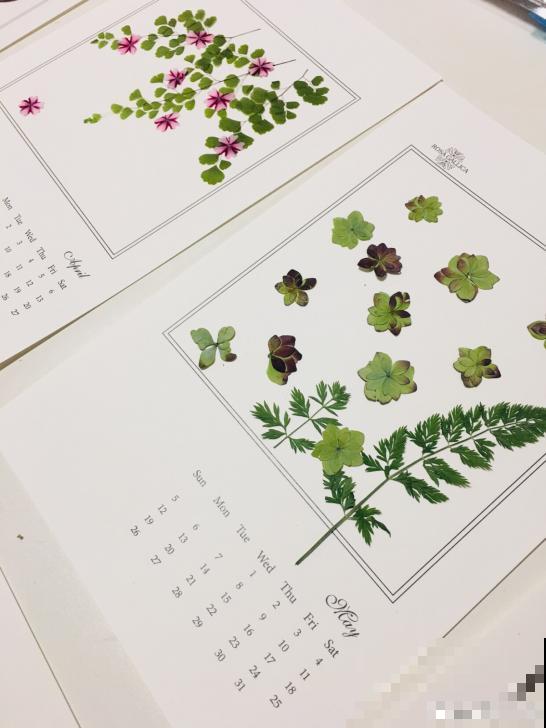 花瓣叶子摘下来，烘干后压一压，就能变成画！