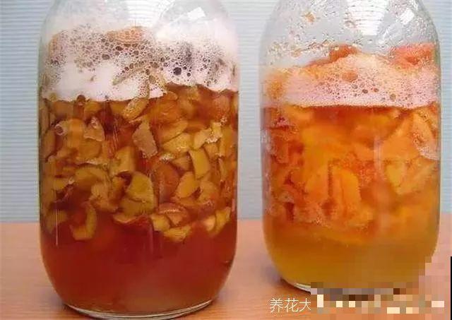 用水果皮沤肥，教你一招，撒把它肥效能翻倍！