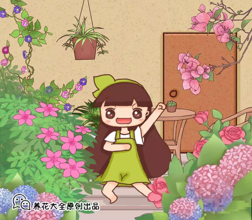 这6种花养好了，家里秒变花海，天天待着都不想出门！