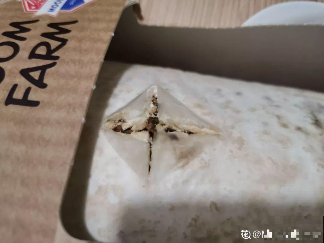 家里阳光差，试着养盆它，不但长的快还能吃！
