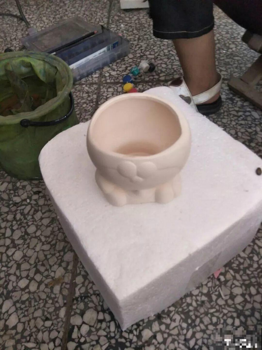 多肉的另一种养法，不花一分钱，透水透气根越长越壮！