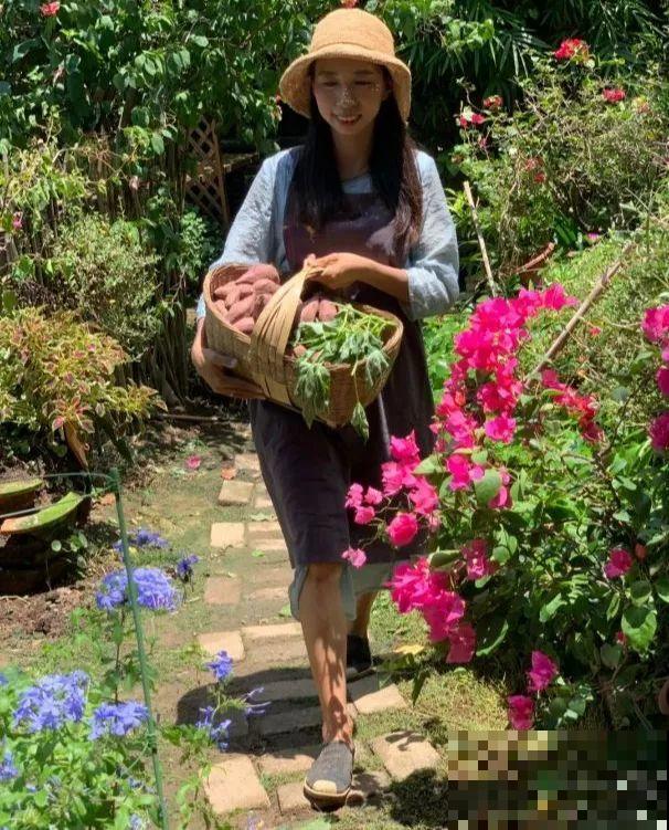 为了养花，她跑到海南，用10年把荒岛变花园！