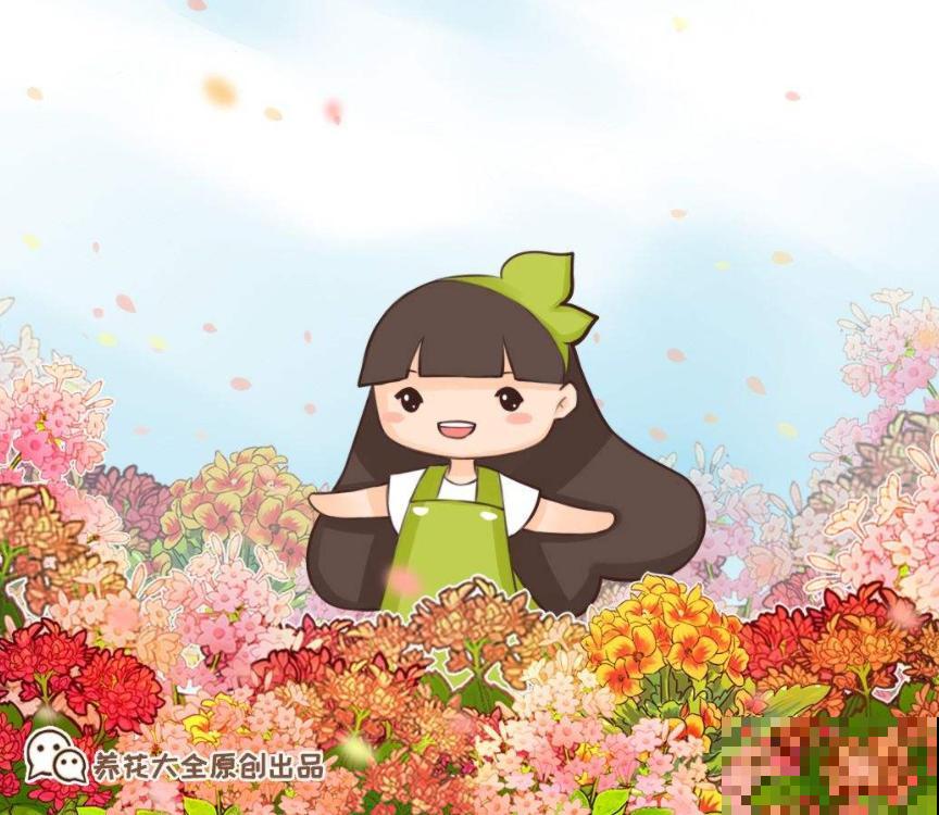养花别乱送人，送对了都开心，送错了有麻烦！