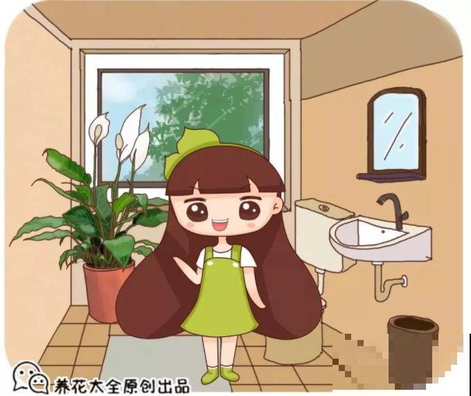 6种耐阴植物，放卫生间也能长，干净去异味！