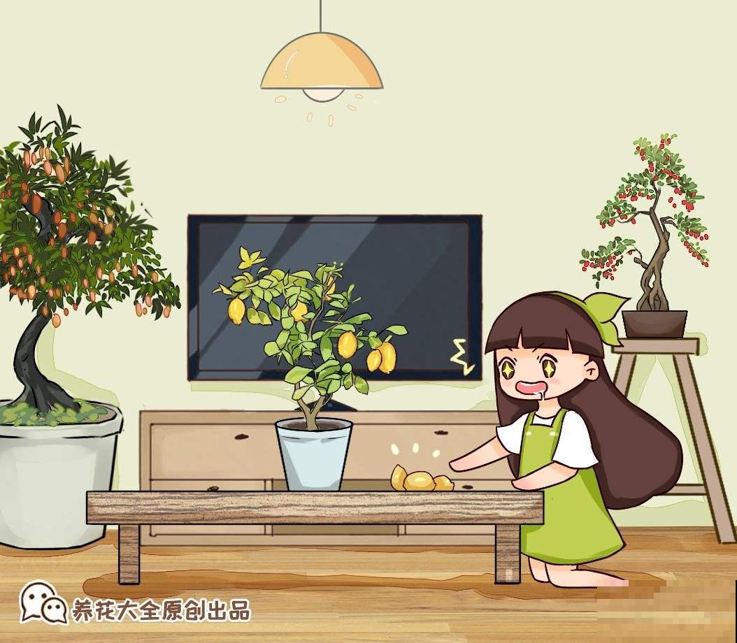 吃剩的水果种子别扔，水里泡一泡，7天长出小森林
