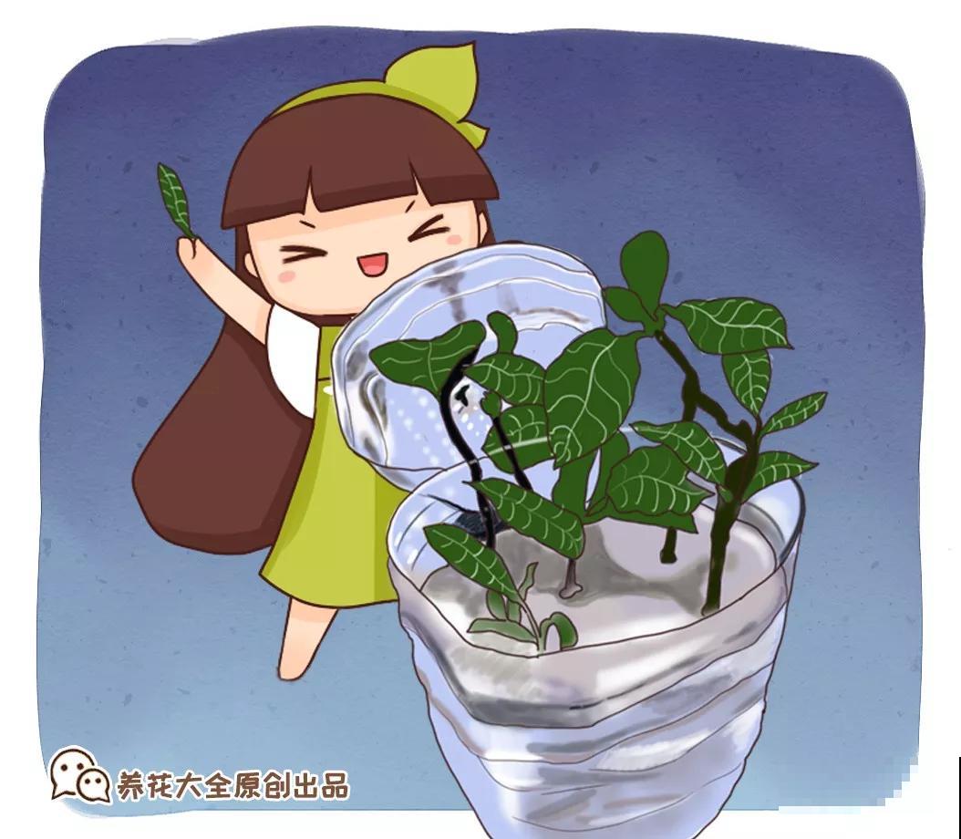 废油桶如何养花？张大妈只教一遍，我就学会了，太实用了