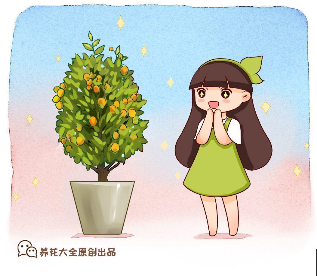 家里养棵守家树，养得越久越吉祥，摘下来还能做成好吃的！