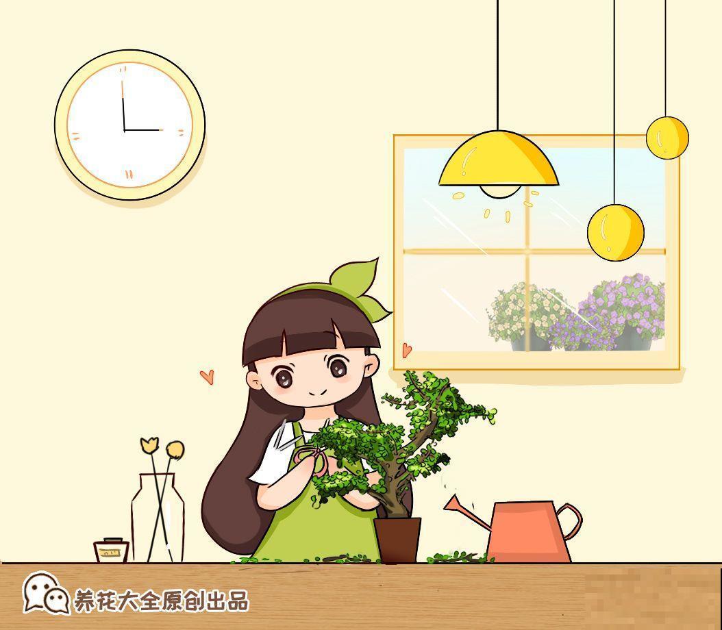 一到冬天，金枝玉叶就开始掉叶子，再不救，早晚成光杆！