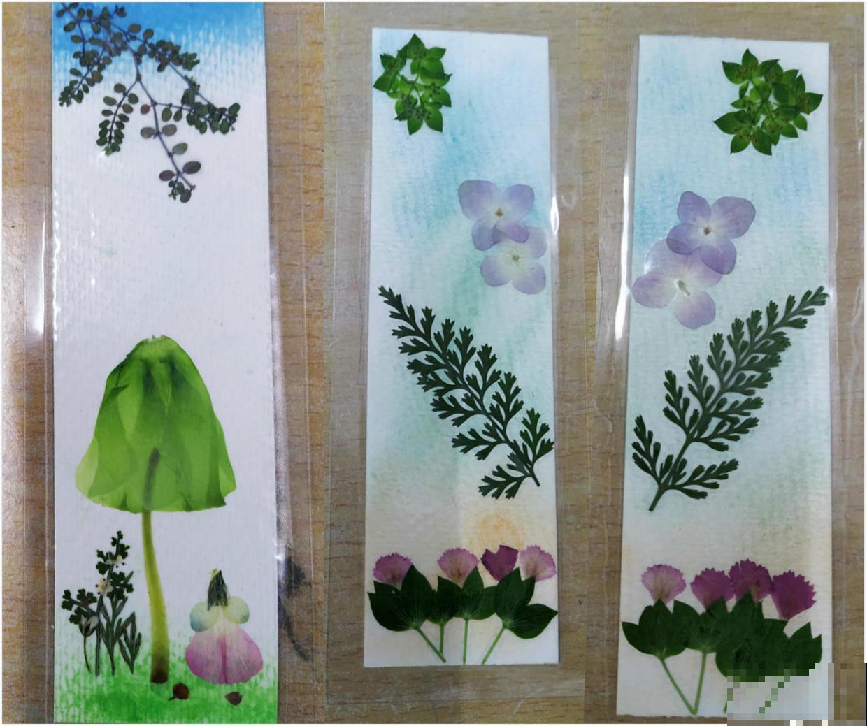 花瓣叶子摘下来，烘干后压一压，就能变成画！