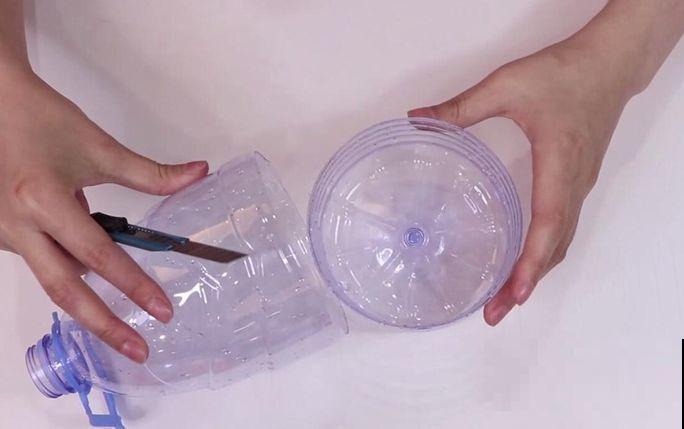 冬天扦插不用愁，准备一个塑料瓶，生根速度翻倍！