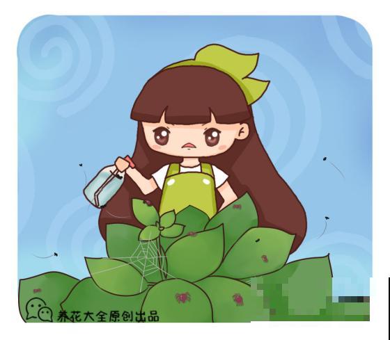 冬天养花别大意，这个地方虫子多，赶紧灌点小酒喷一喷！