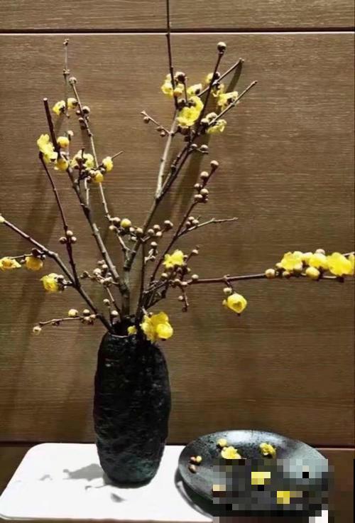 未来半个月，这6种花要涨价，人人抢着买！