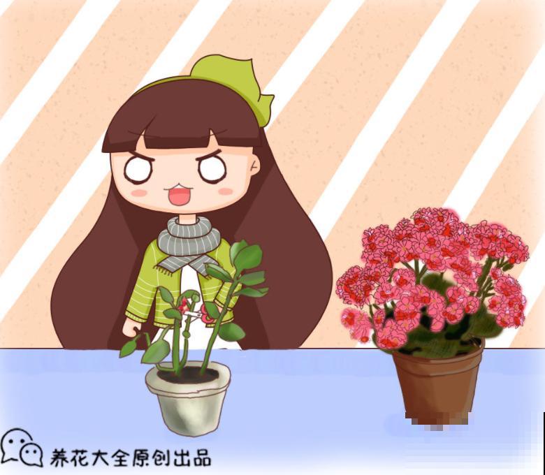 2种花枯死也别扔，砍一刀，分分钟爆10盆！