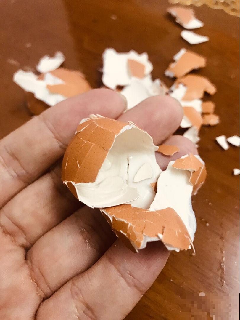 家里有这种东西，千万别丢，拿来养花，叶子绿的直滴油