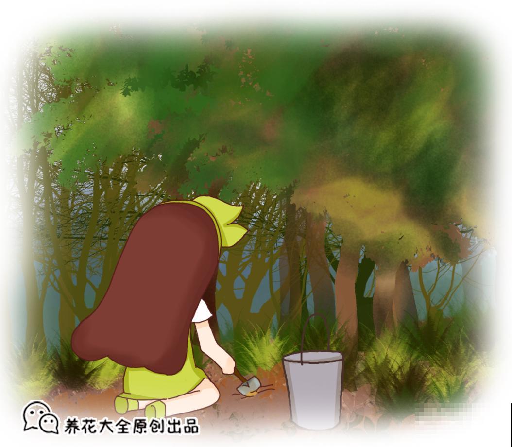 土里掺点它，养花10年不烂根，特透气