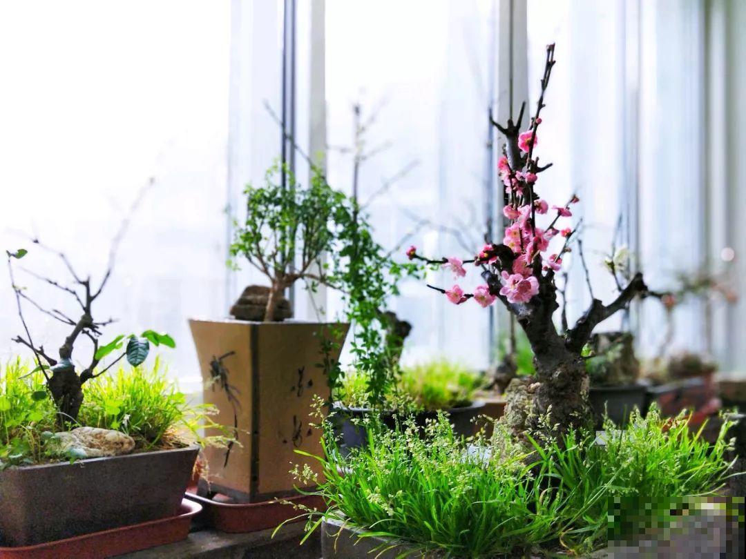 想养好花，就得付出劳动，从开花到结果，无一不是美的！