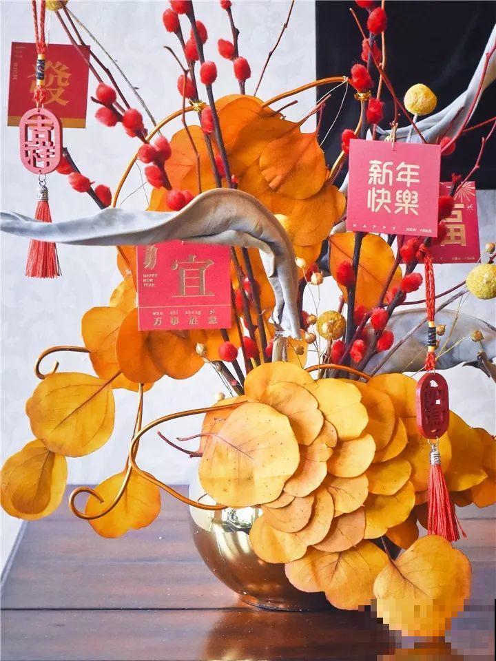 8种懒人花，不用土不用水，放在家里能开大半年！