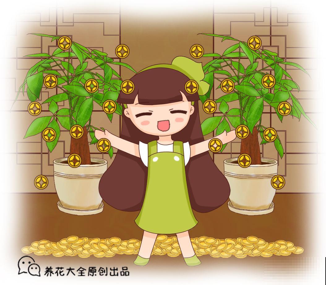 这花真招财，枝干上长了个“元宝疙瘩”，旺家又旺财