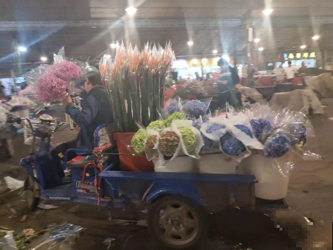 12月逛花市，这花好看又好养，遇到赶紧抱回家！
