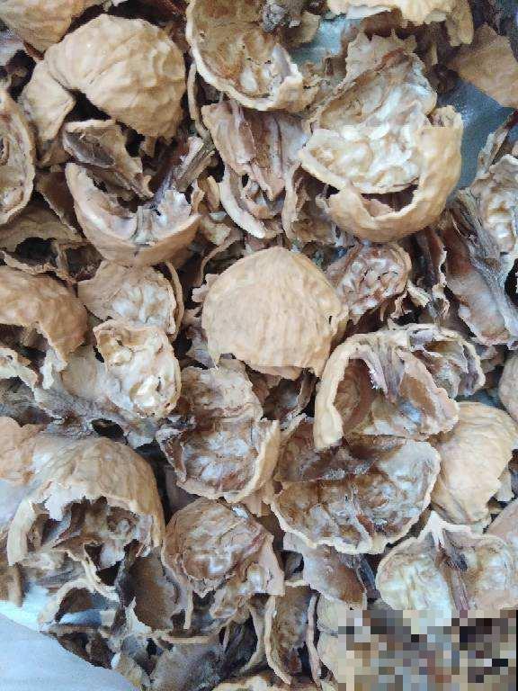 张奶奶在盆底垫了它，花不黄叶不烂根，俩月能蹿半米高