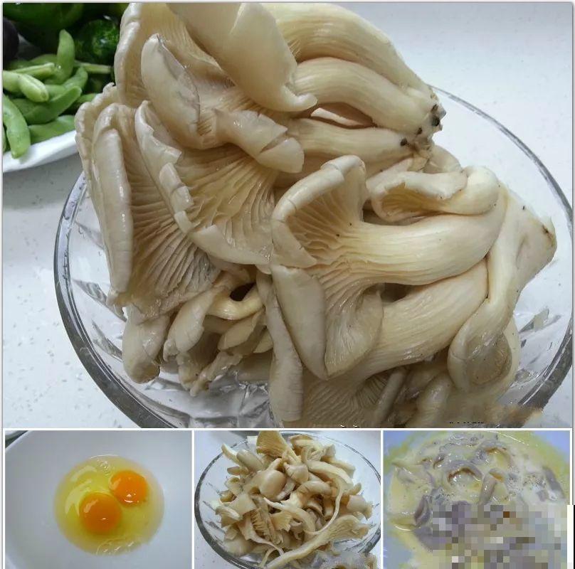 家里阳光差，试着养盆它，不但长的快还能吃！