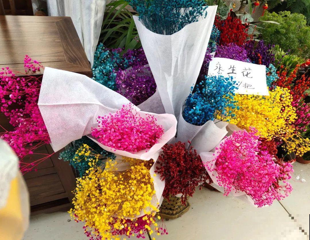 花市有你想象不到的魅力，便宜又好看，过年买回一大堆！