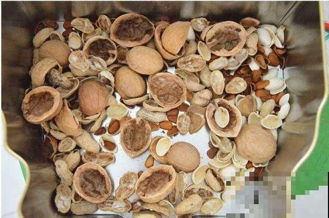 吃剩的栗子壳、瓜子皮别扔，这样塞盆里，过完年就成高级养花土