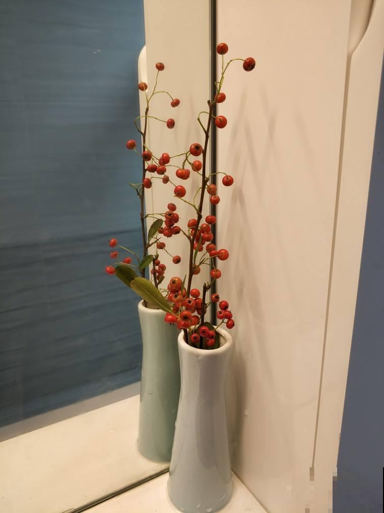 超喜庆的花，满树都是红果子，富贵团圆好意头