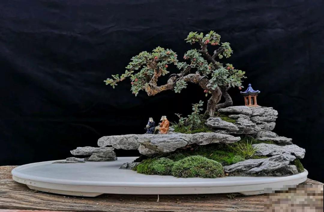 路边的石头野草捡回家，摆在盘里就是盆景，看完你也会做！