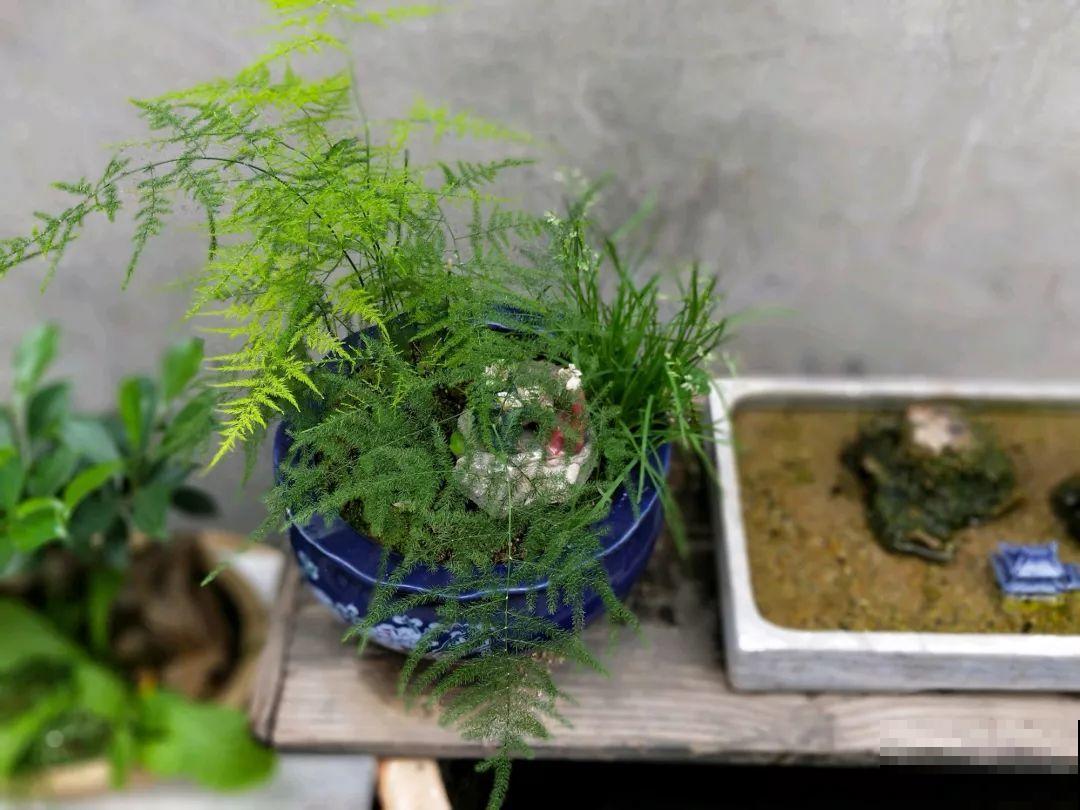 想养好花，就得付出劳动，从开花到结果，无一不是美的！
