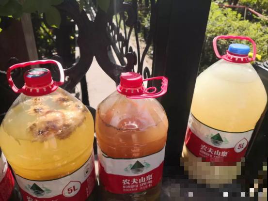 养花不用买肥，家里这些“壳”敲碎，就是天然生长肥！