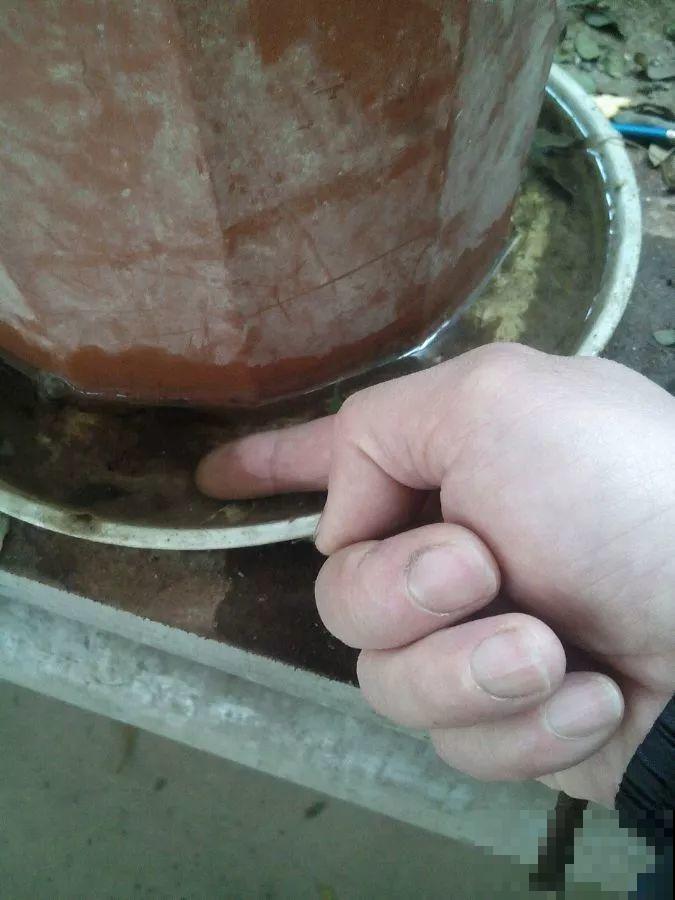 阳台封闭不通风养花，就选这8种花，能种出一个室内花园！