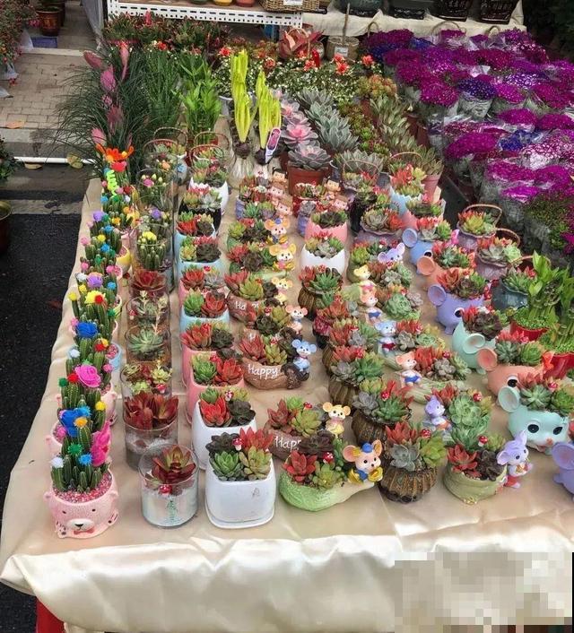 花市有你想象不到的魅力，便宜又好看，过年买回一大堆！