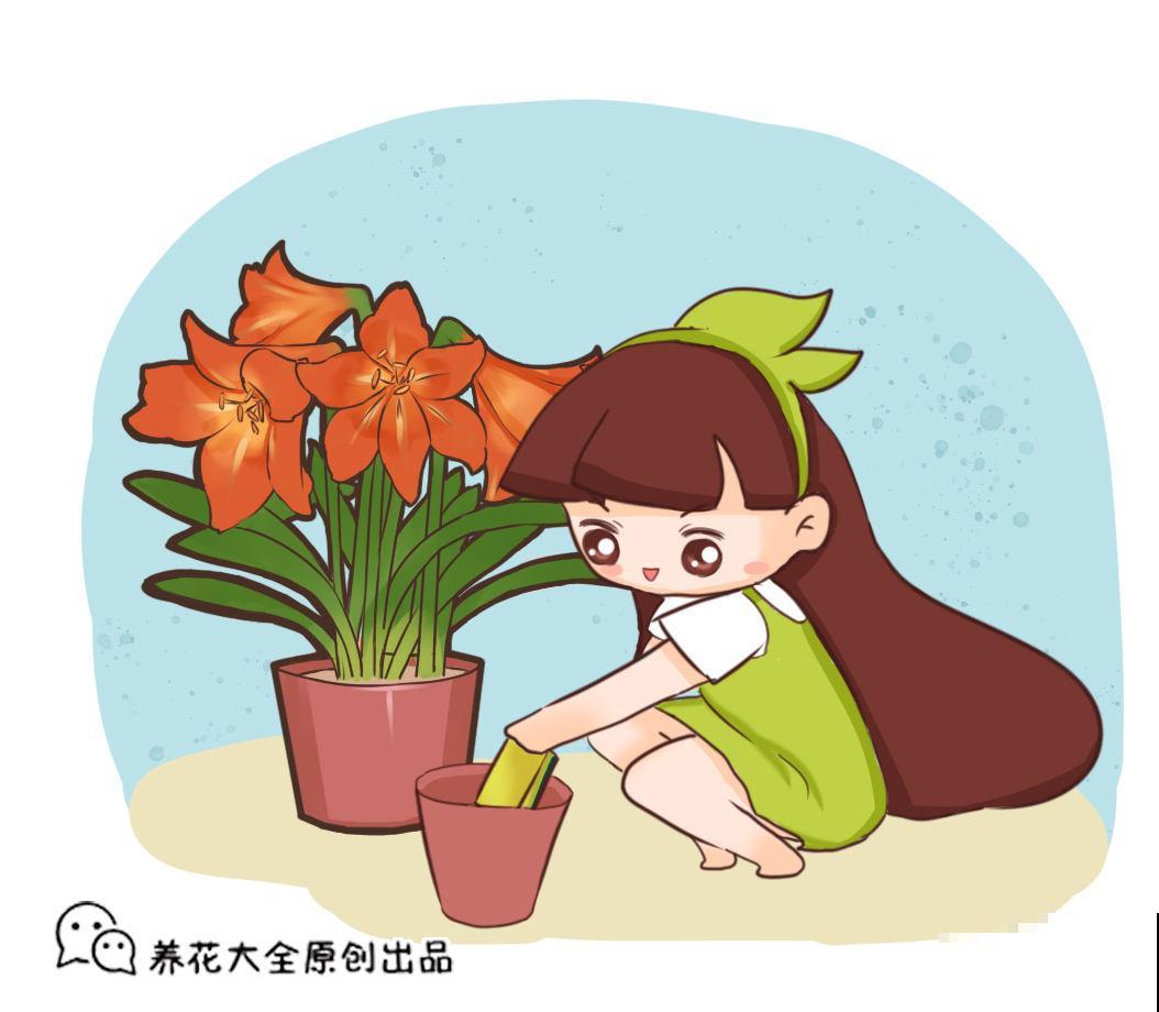 2种花，要想长得好，必须换盆，否则黄叶烂根