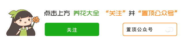 都说这花难养，10年不换盆，年年开花成宝贝！