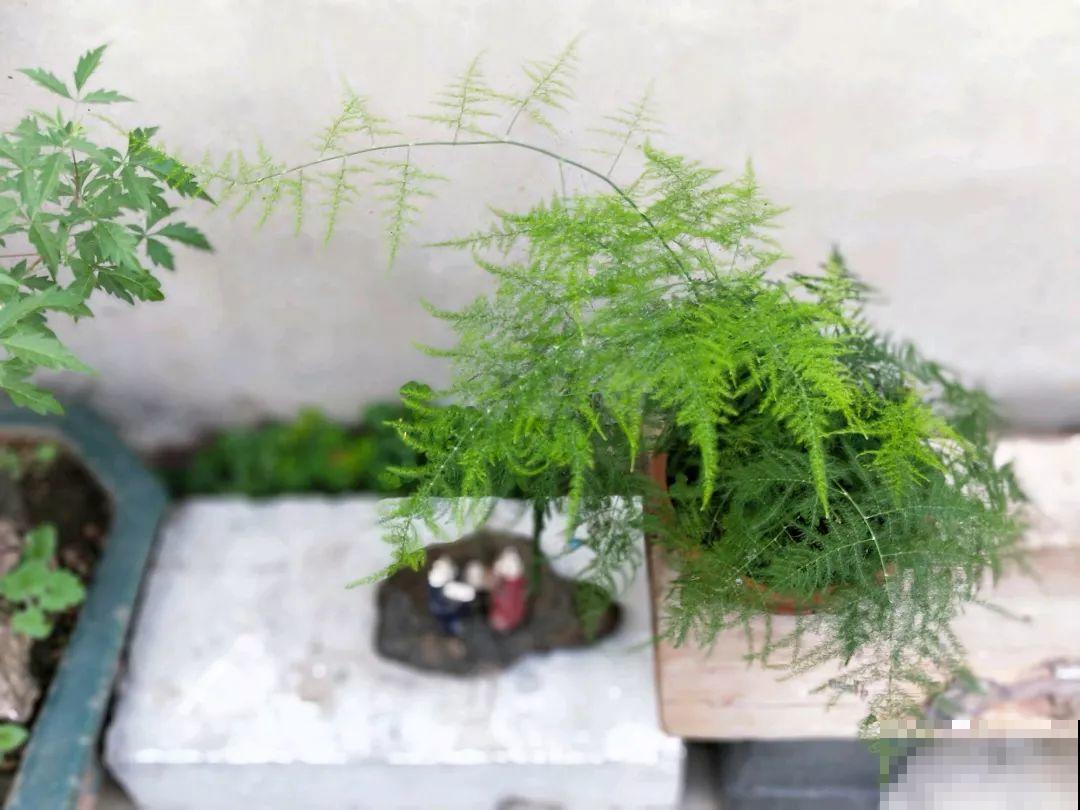 想养好花，就得付出劳动，从开花到结果，无一不是美的！