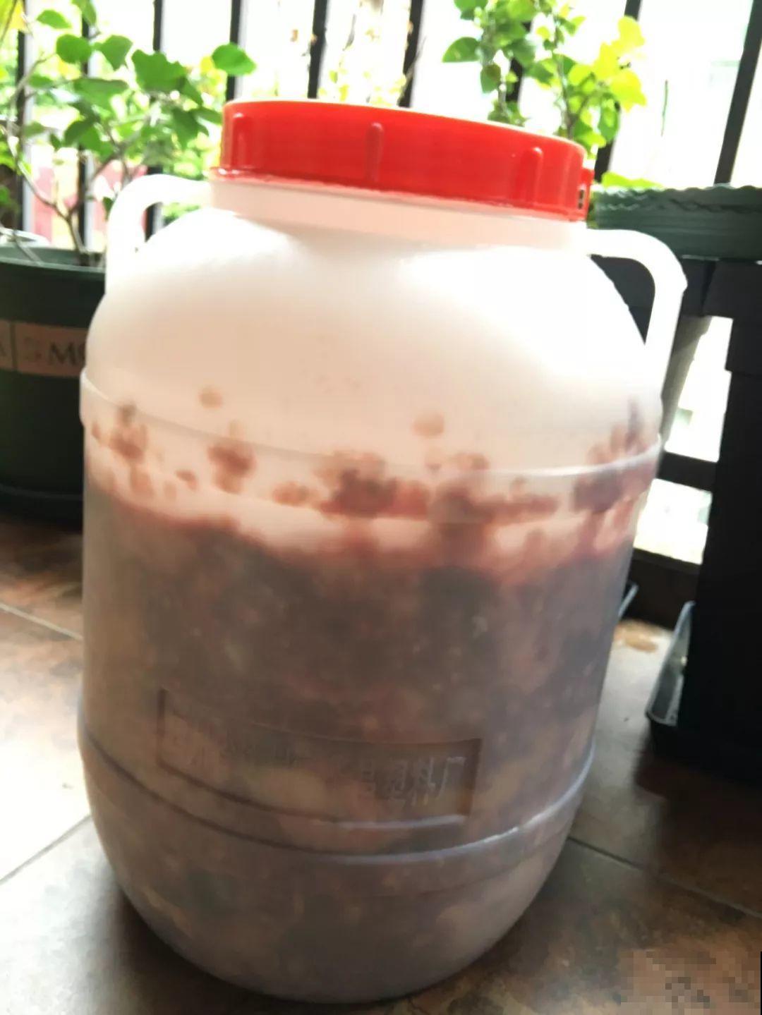 土里掺点它，旧土也能变肥土，花用了疯长不停！