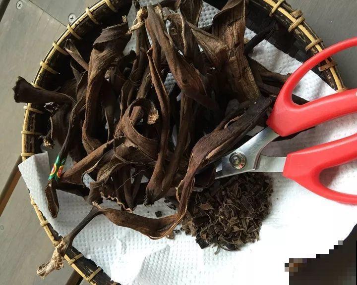 有了这4种肥料，三角梅长得壮壮的，一年能开好几茬！