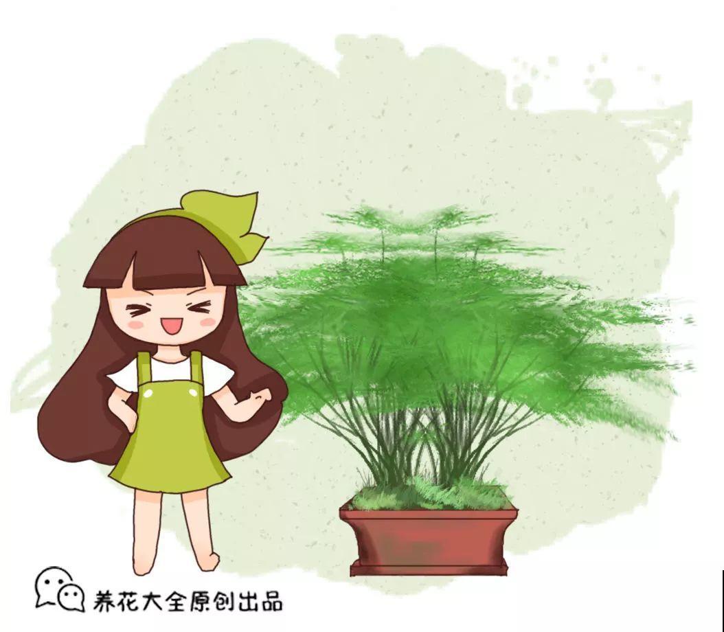 养这花别心软，遇到黄叶狠心剪，越剪长得越快！